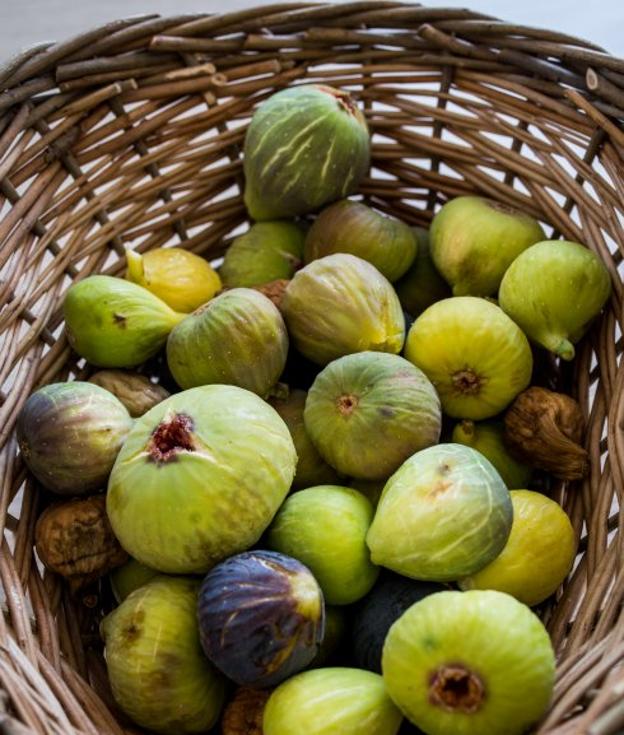 Además de los higos Negros o los de la Reina (en la foto), en el Guadalhorce se están recuperando variedades antiguas para disfrute de los amantes del fruto más dulce.