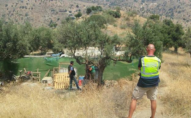 La parcela donde se llevó a cabo la intervención está situada en la zona alta del arroyo de Granadillas.