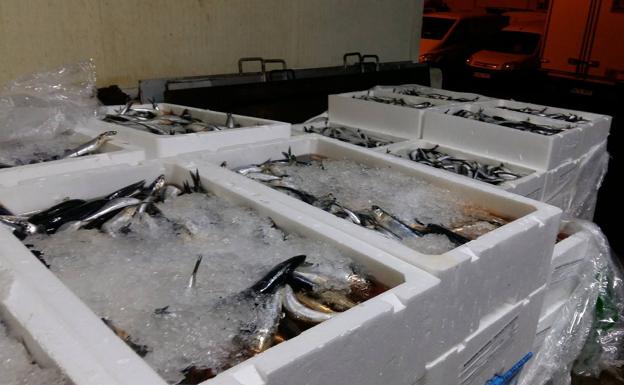Pescado decomisado en Mercamálaga.