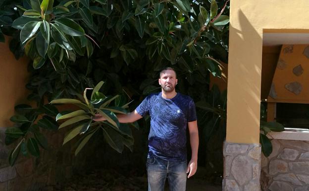 Ernesto, junto al Ficus que penetra en la casa familiar.