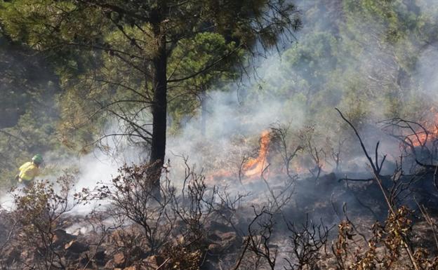 Se trata de una zona muy abrupta, lo que está dificultando las labores de extinción por tierra./Infoca