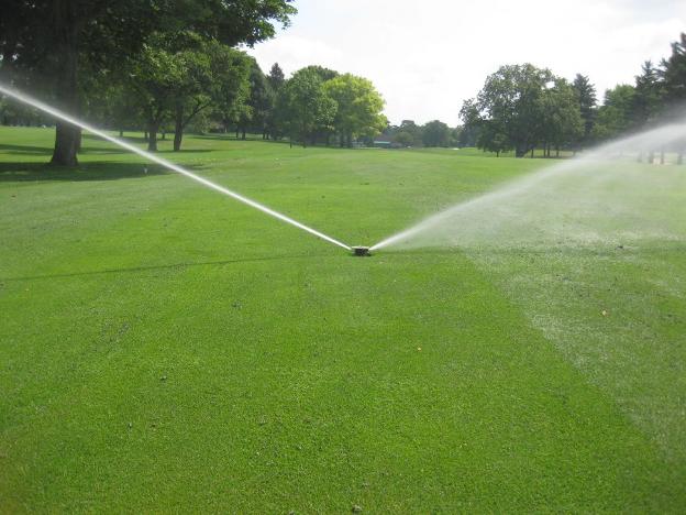 La mayoría de campos de la Costa del Sol Occidental utilizan agua reciclada para el riego. :: sur
/