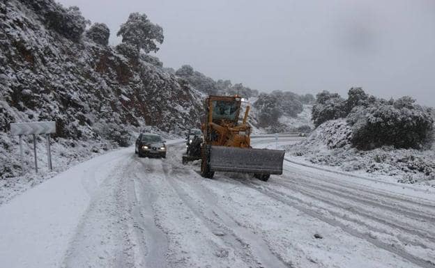 La carretera que une Ronda con la Costa tuvo que ser cortada al tráfico por la acumulación de nieve. /Vanessa Melgar