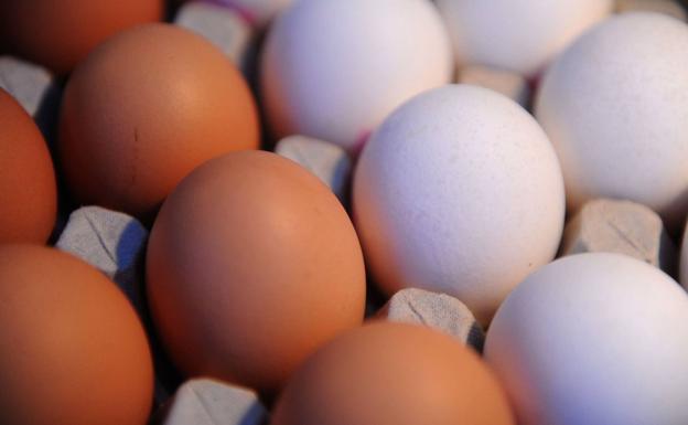 Huevos blancos y marrones./PATRIK STOLLARZ
