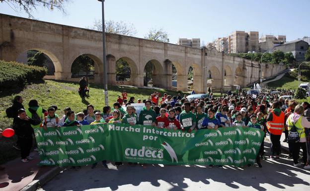La solidaridad también se aprende