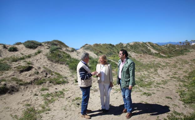 El hotel W Marbella iniciará la semana próxima los trabajos de protección del entorno dunar
