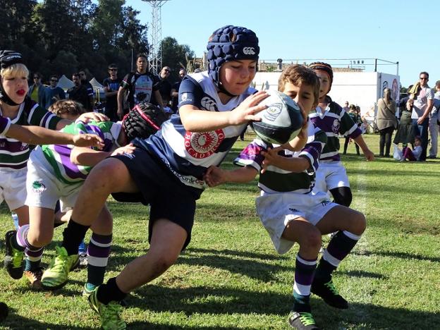 El festival se dividirá en categorías entre sub-8 y sub-14. ::/ SUR