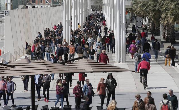 Imagen tomada ayer en el Palmeral de las Sorpresas del Puerto de Málaga./Ñito Salas