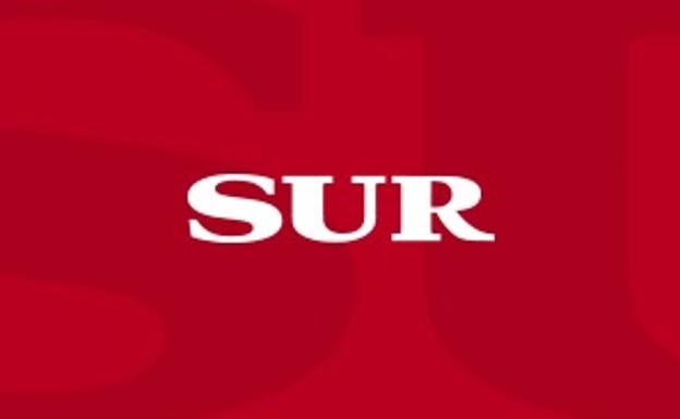 Detienen a un jardinero acusado de robar en 16 viviendas de Rincón de la Victoria