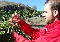 Raúl Gámez es propietario, junto a su hermano Antonio, de una finca en la zona veleña de Los Zamoranos. :. E. C./