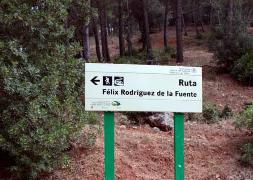 La ruta cuenta con abundante señalización y cinco miradores. Foto: Turismo de Jaén/