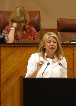 Ángeles Muñoz, durante su intervención de ayer.. /ELISA ARROYO/