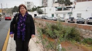 La presidenta de la Asociación de Vecinos La Pelusa, Inmaculada De la Torre, solicita el embovedado del arroyo Wittenberg. :: N. R. N./