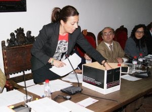 Fernández sacó una caja de cartón durante el pleno en la que guarda facturas impagadas. :: V. M./