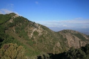 Una de las laderas de la sierra de Mijas. ::
M. C. J./