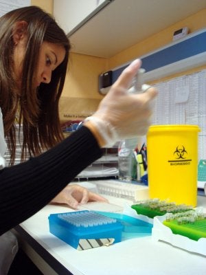 El ensayo del Clínico trabaja con células madre de médula ósea. ::
SUR/