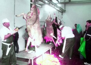 En Melilla se espera el sacrificio de unos cinco mil corderos para cumplir con esta tradición musulmana. ::
D. SÁNCHEZ/