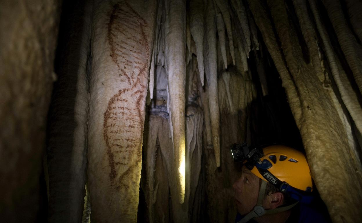 Sorprendido menú Polvoriento La Cueva de Nerja recreará en tres dimensiones sus pinturas rupestres para  acercarlas a los visitantes | Diario Sur