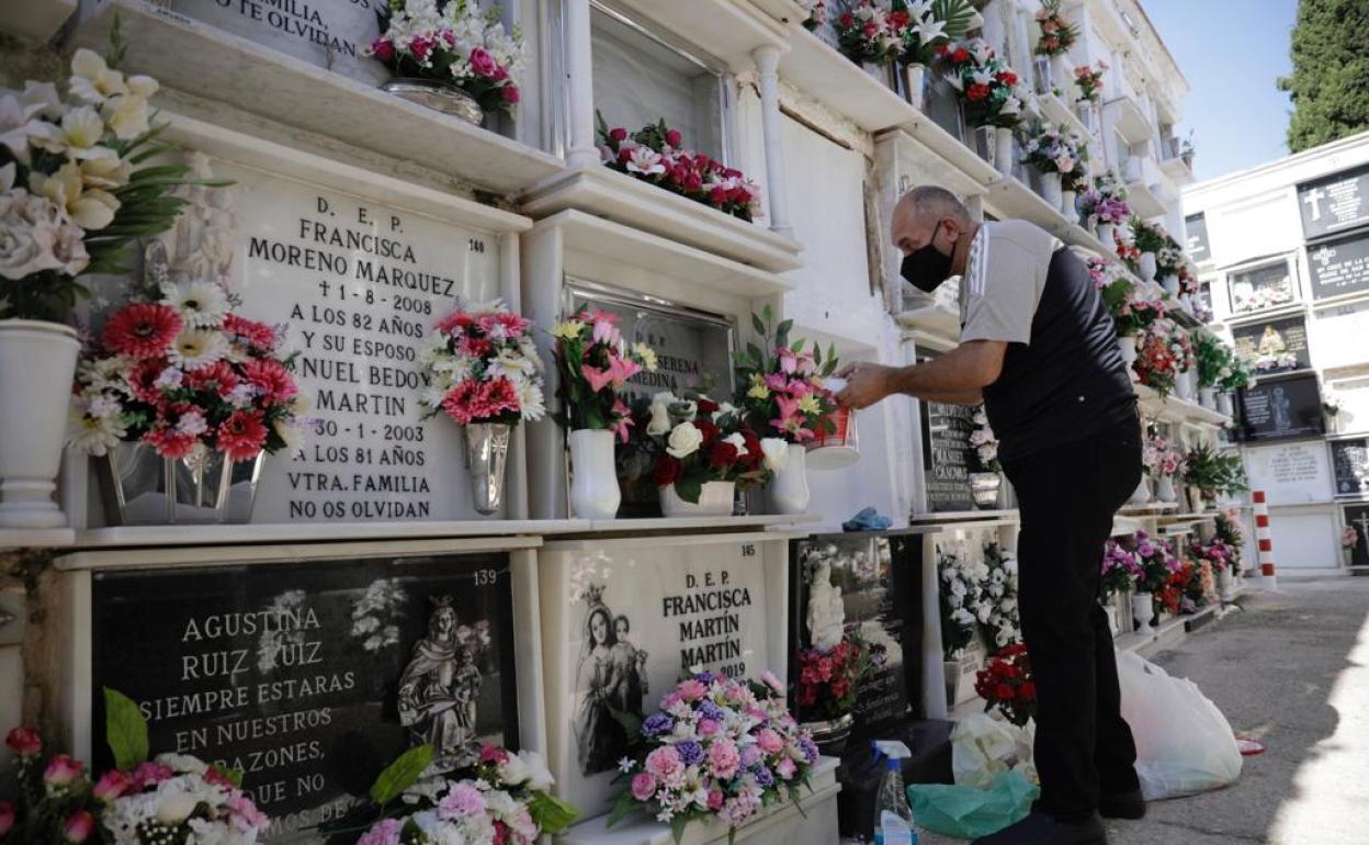 Vuelve la actividad a los cementerios: «Estos dos meses y medio sin visitar  a mi madre han sido muy duros» | Diario Sur