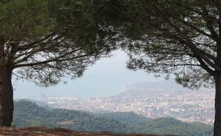 Vista de Málaga junto al mirador del Cochino./