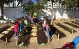 Grupo de escolares en el huerto educativo de su colegio, en la capital malagueña./sur