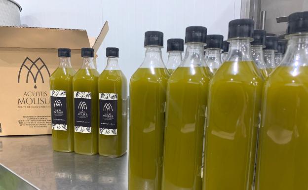 Málaga comienza la campaña del aceite de oliva con los AOVEs tempranos 2 Molisur lleva elaborando aceites tempranos desde el 15 de septiembre./ SUR