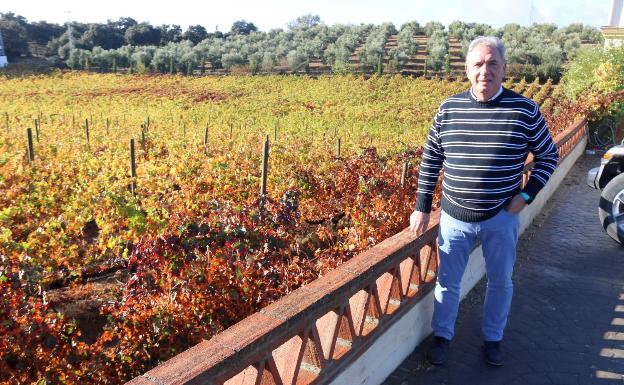 José María Losantos: «Donde más nos gusta 'exportar' los vinos de Ronda es a Málaga» 2 El presidente del Consejo Regulador, José María Losantos, junto a parte de sus viñedos, en Ronda. /vanessa melgar