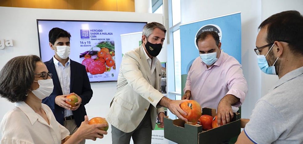 La tradicional subasta benéfica del mejor lote de Tomate Huevo de Toro desembarca en Coín - Vimarsana News