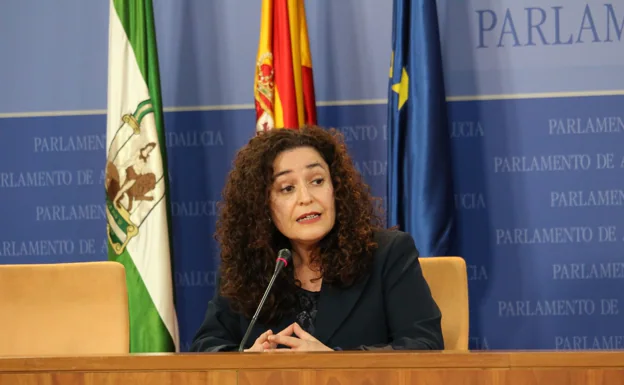 Inmaculada Nieto, portavoz de Unidas Podemos por Andalucía.  /Sur