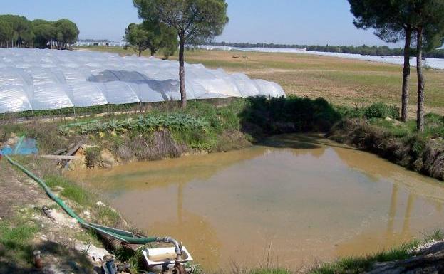 Toma de agua para el abastecimiento de una finca fresera en la zona de Doñana.