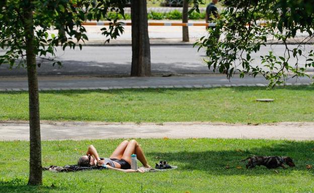 Andalucía, en aviso naranja por calor este sábado, excepto Almería