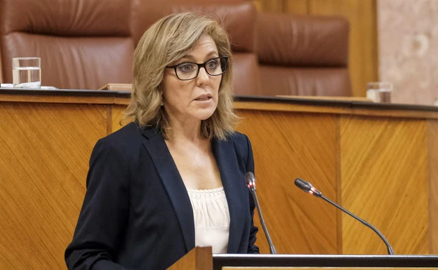 La diputada socialista Ana Romero en el Parlamento de Andalucía. 