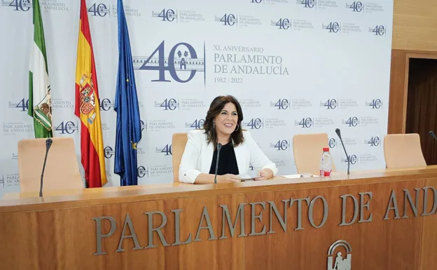 Ángeles Férriz, en el Parlamento este miércoles. 