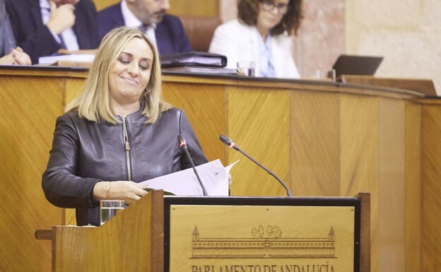 Asesora Marifrán Carazo durante su intervención ante el pleno.