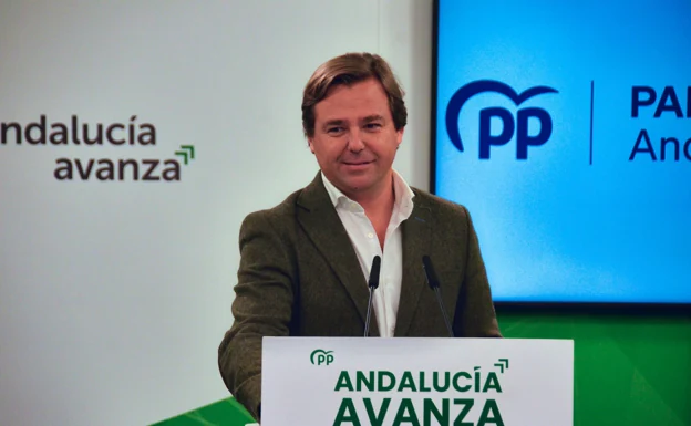 Antonio Repullo, secretario general del PP-A.  /Sur