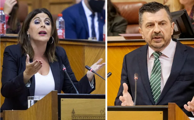 Los ponentes Ángeles Férriz (PSOE) y Toni Martín (PP) 